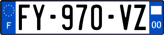 FY-970-VZ