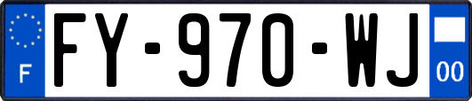 FY-970-WJ