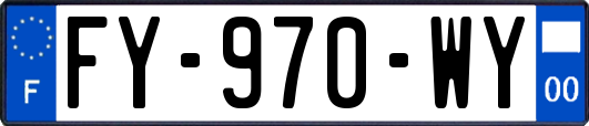 FY-970-WY