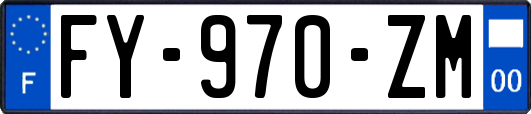 FY-970-ZM