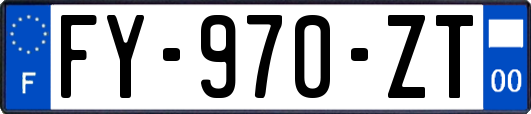 FY-970-ZT