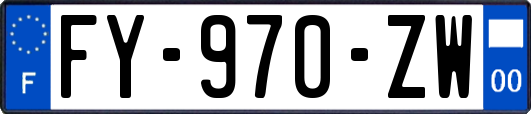 FY-970-ZW