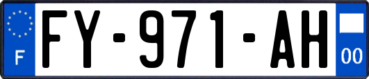 FY-971-AH