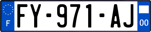 FY-971-AJ