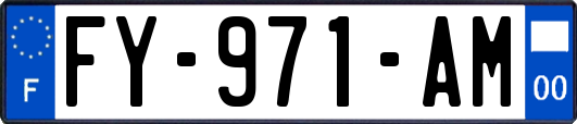 FY-971-AM