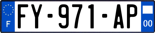 FY-971-AP