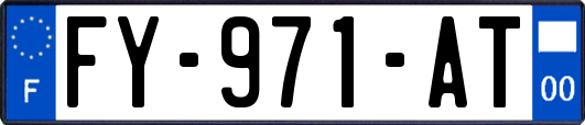 FY-971-AT