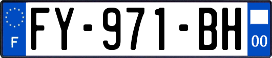 FY-971-BH