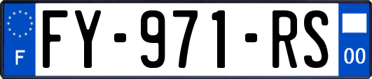 FY-971-RS