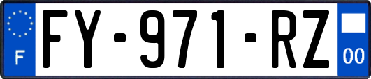 FY-971-RZ