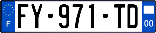 FY-971-TD