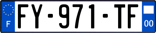 FY-971-TF