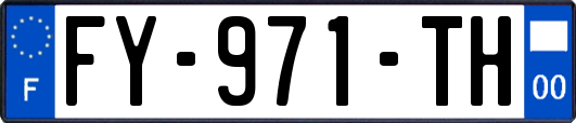 FY-971-TH