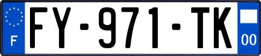 FY-971-TK