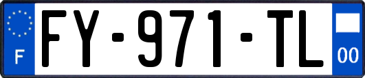 FY-971-TL