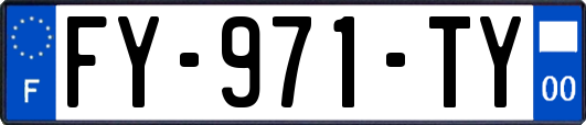 FY-971-TY