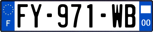 FY-971-WB