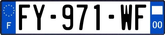FY-971-WF