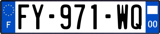 FY-971-WQ