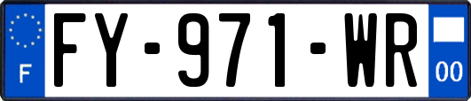 FY-971-WR