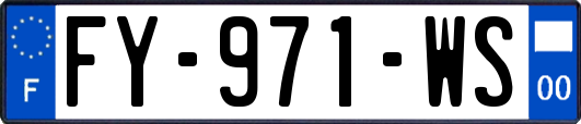 FY-971-WS