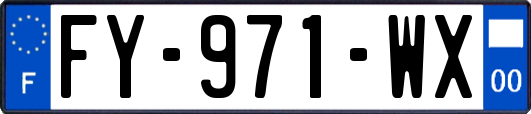 FY-971-WX