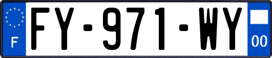 FY-971-WY