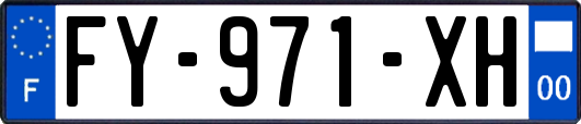 FY-971-XH