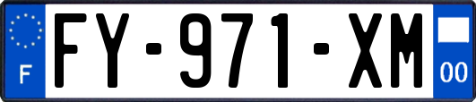 FY-971-XM