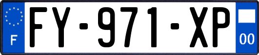 FY-971-XP