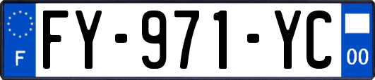 FY-971-YC
