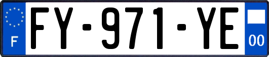 FY-971-YE