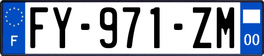 FY-971-ZM