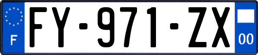 FY-971-ZX