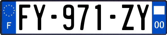 FY-971-ZY