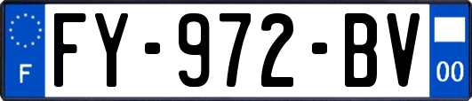 FY-972-BV