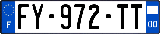 FY-972-TT