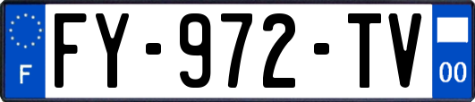 FY-972-TV