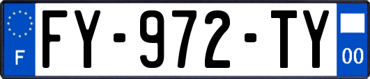 FY-972-TY