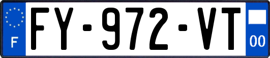 FY-972-VT