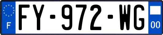 FY-972-WG