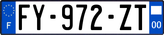 FY-972-ZT