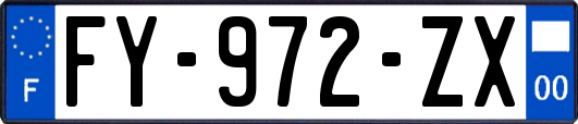 FY-972-ZX