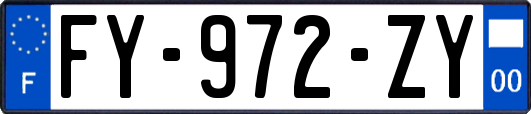 FY-972-ZY