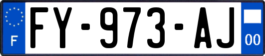 FY-973-AJ