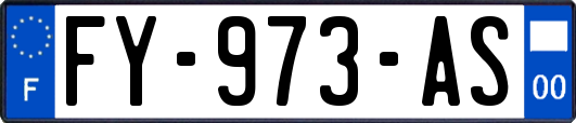 FY-973-AS