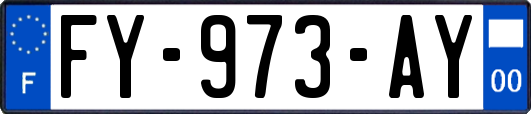 FY-973-AY