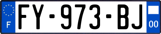 FY-973-BJ