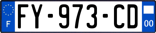 FY-973-CD