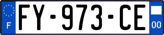 FY-973-CE